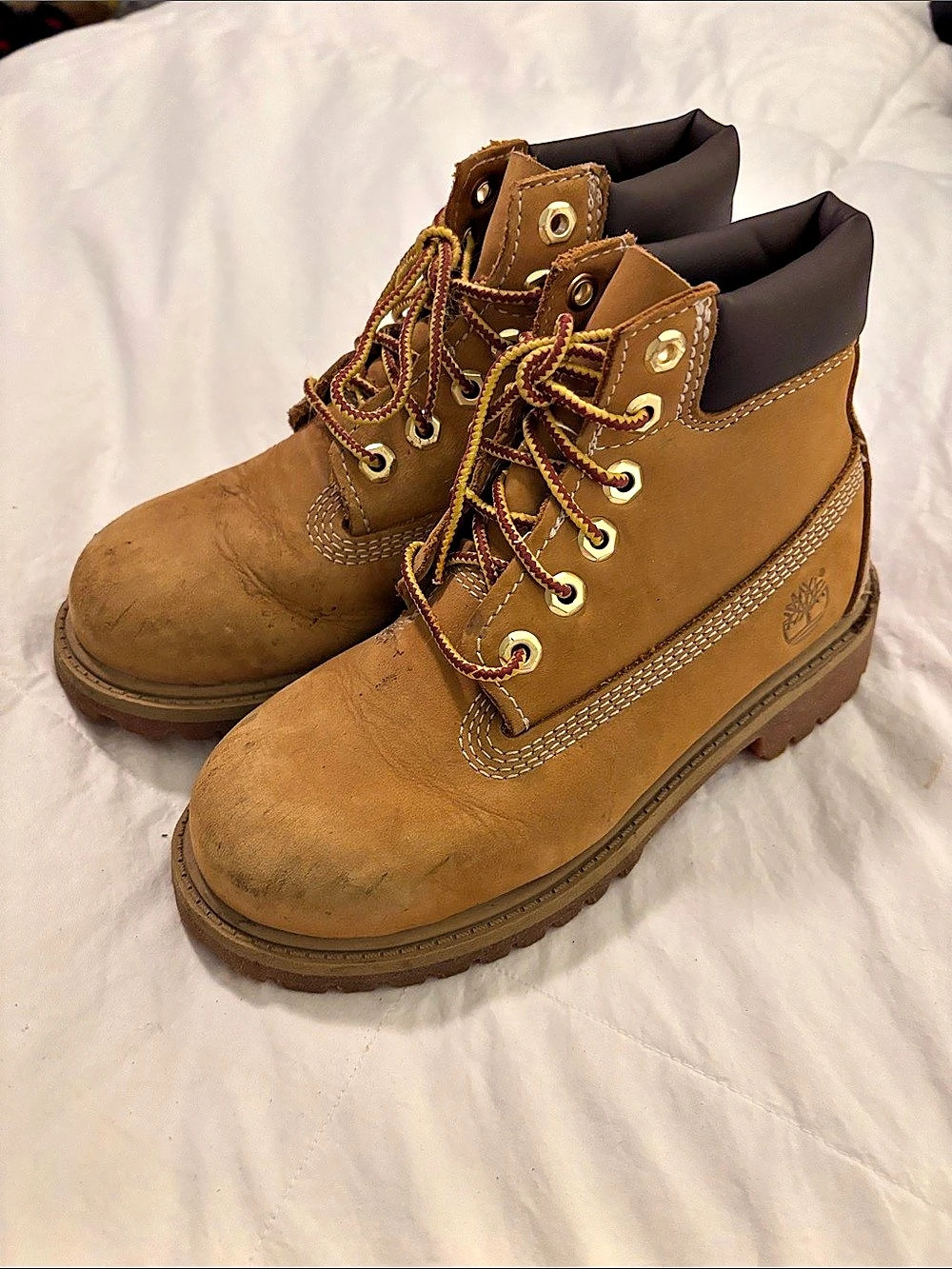 Timberland 6-Inch Premium Boot Boots Brown US kids 13